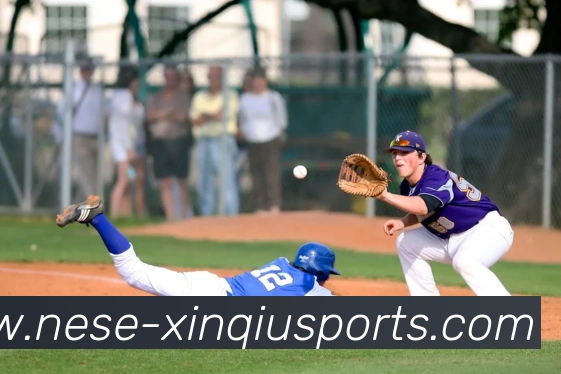 新球体育平台品牌故事