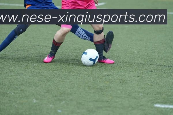 新球体育平台服务体系